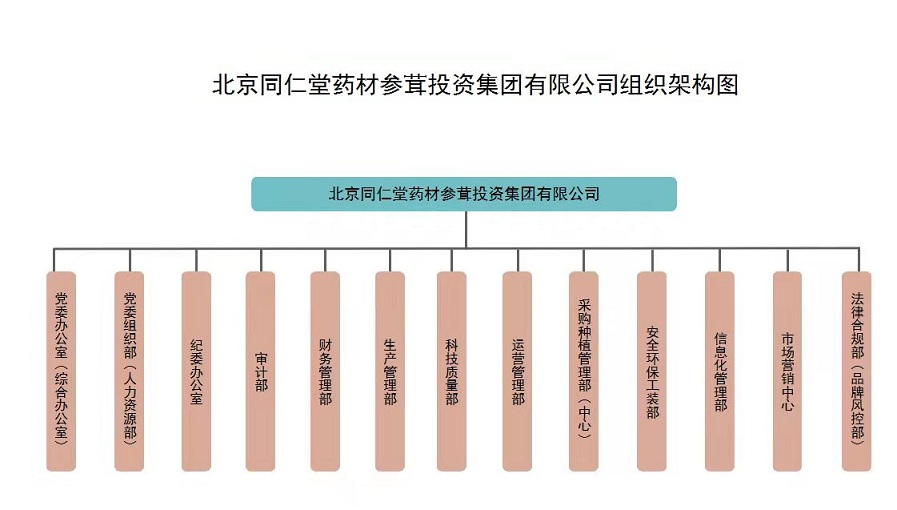 北京同仁堂组织结构图图片