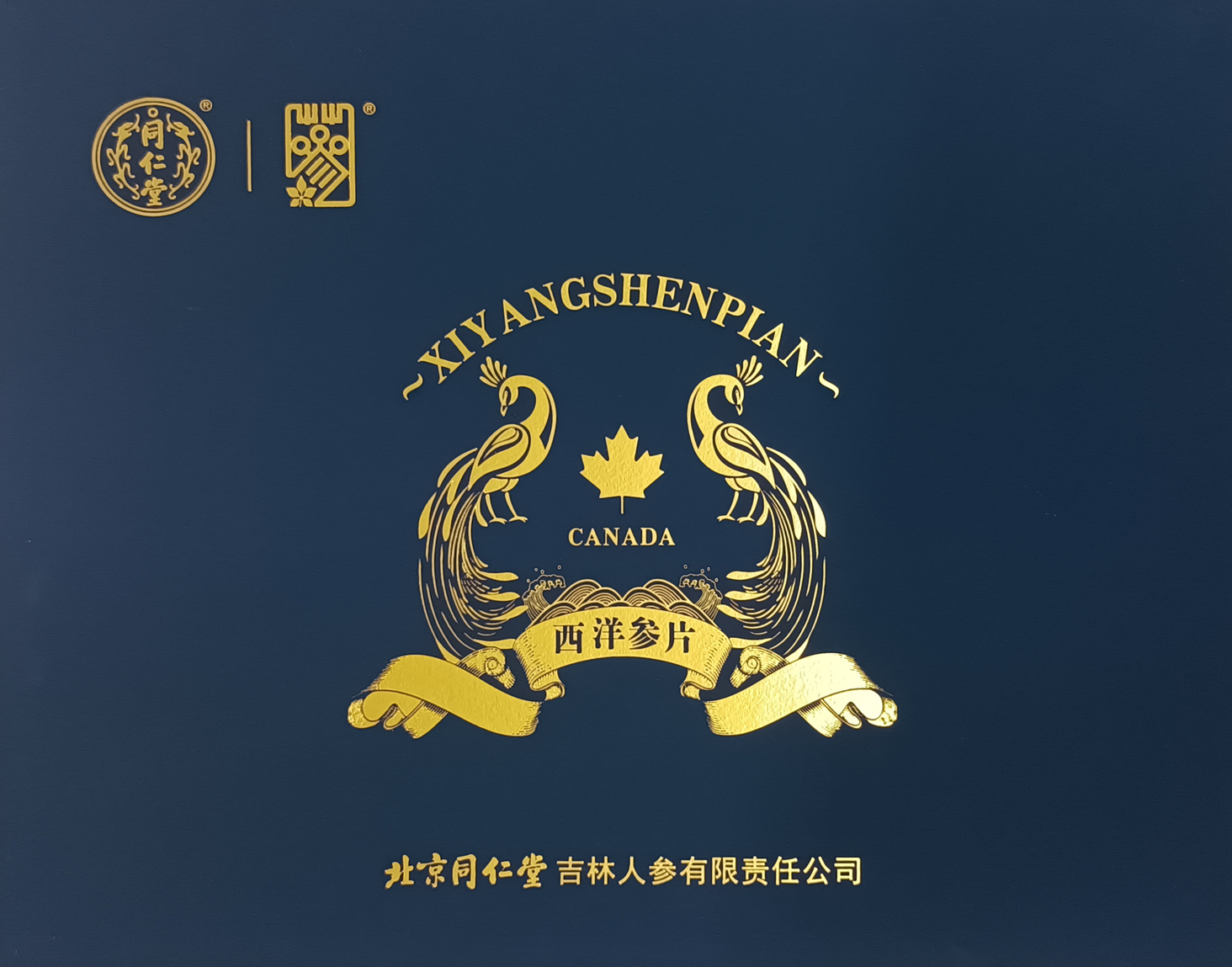 西洋参片