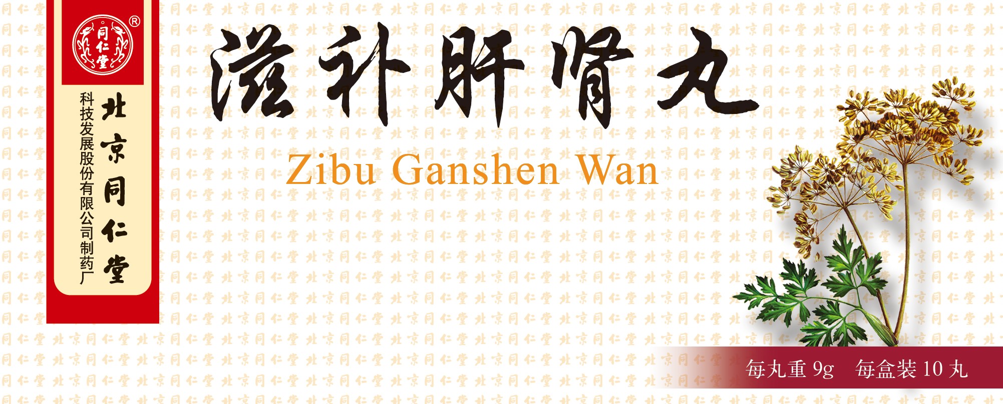滋补肝肾丸